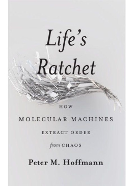 Peter M. Hoffmann Lifes Ratchet: How Molecular Machines Extract Order from Chaos