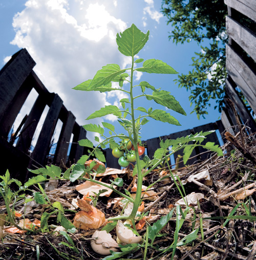 Seeing Is Believing Like most gardeners who believe in the powers of compost - photo 7