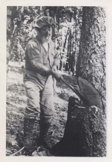 Bernard Maybeck chopping a tree at Pine Ridge Ranch Mendocino County c 1925 - photo 3