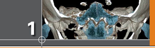 CBCT in Clinical Practice Nothing has captured the dental professions - photo 2