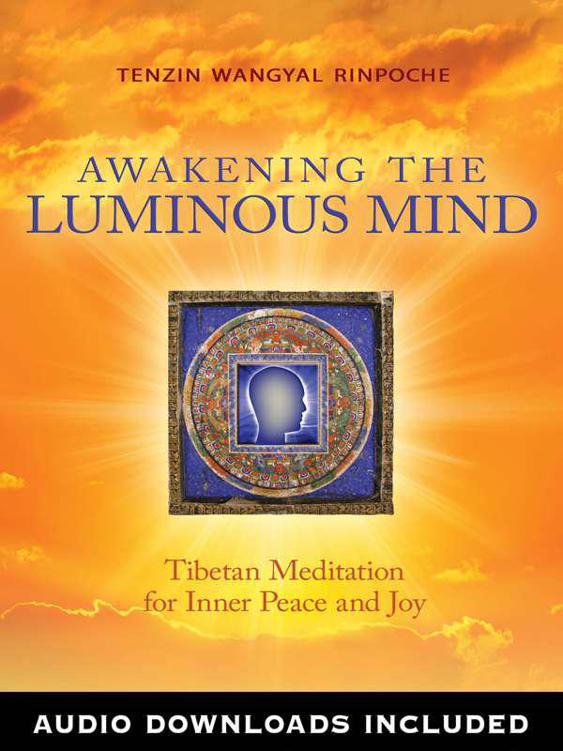 Bonus eBook Content Thank you for purchasing the Awakening the Luminous Mind - photo 1