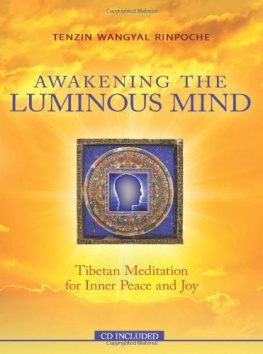 Tenzin Wangyal Rinpoche - Awakening the luminous mind: Tibetan meditation for inner peace and joy