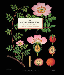 Katrien Van der Schueren The Art of Instruction: Vintage Educational Charts from the 19th and 20th Centuries