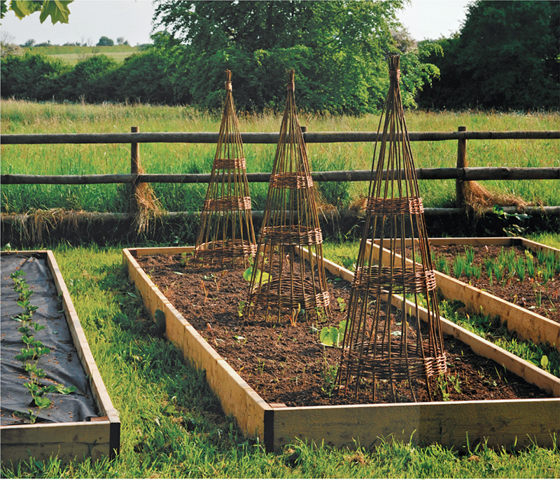 L ooking for better ways to grow your garden Trellises Planters Raised Beds - photo 2