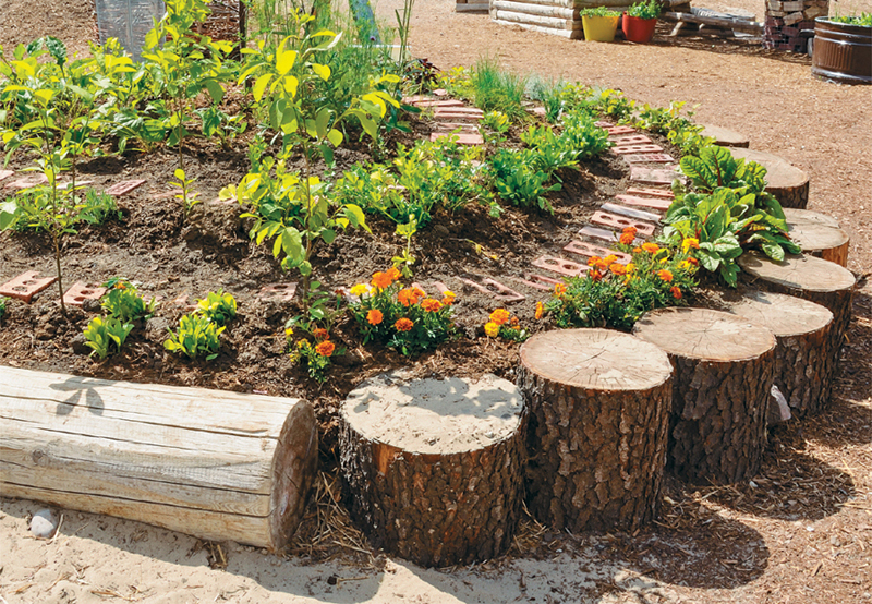 This raised bed was constructed by dropping a dump-truck load of good soil on - photo 5