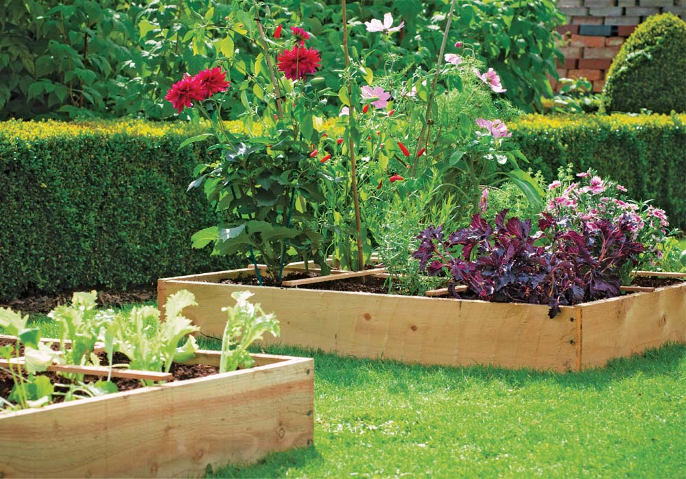 Introduction I know you will be successful with my Square Metre Gardening - photo 4