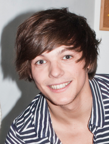 Louis Name Louis William Tomlinson Born December 24 1991 Star sign - photo 9