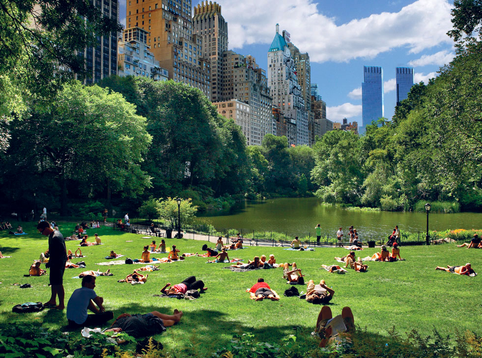 JEAN-PIERRE LESCOURRET LONELY PLANET IMAGES New York besitzt Unmengen - photo 5