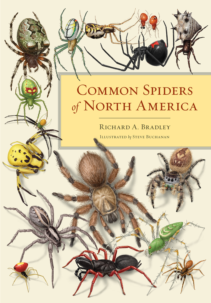 PREFACE AND ACKNOWLEDGMENTS My introduction to spider biology began over 30 - photo 1