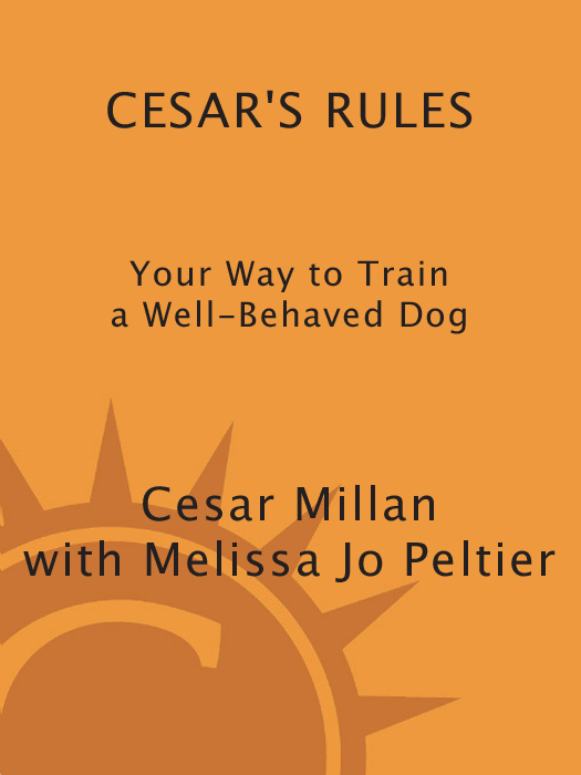 Also by CESAR MILLAN with Melissa Jo Peltier Cesars Way The Natural - photo 1