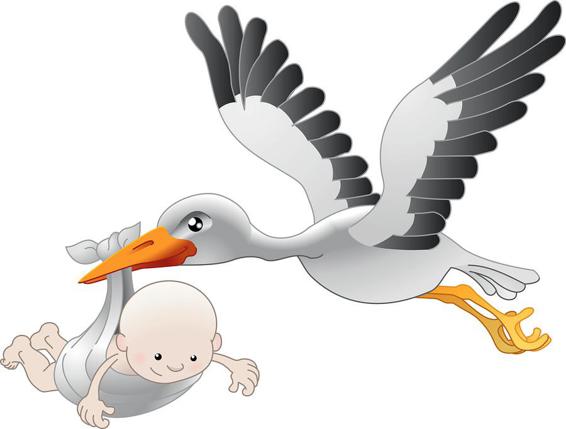 Stork brings a new baby and some CORBA insurance bills Under such - photo 3