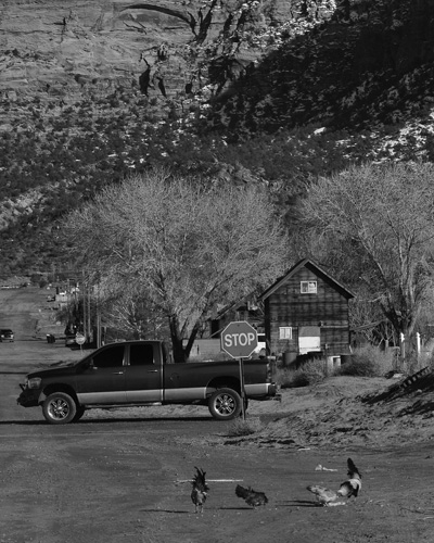 The real Short Creek where chickens peck on dirt roads roamed by large - photo 10