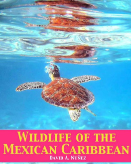 David Nuñez - Wildlife of the Mexican Caribbean