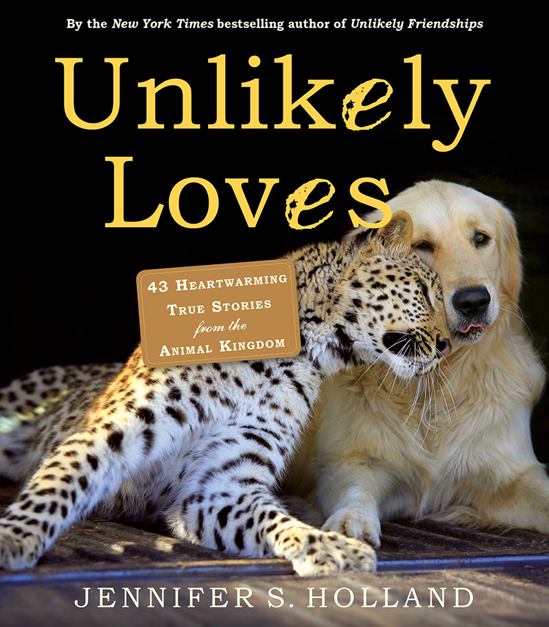 Unlikely Loves 43 Heartwarming Stories from the Animal Kingdom by Jennifer - photo 1