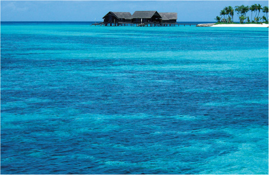 One Only Reethi Rah the Maldives Cocoa Island the Maldives - photo 4