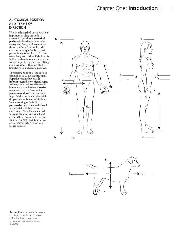 Kaplan Anatomy Coloring Book - photo 1