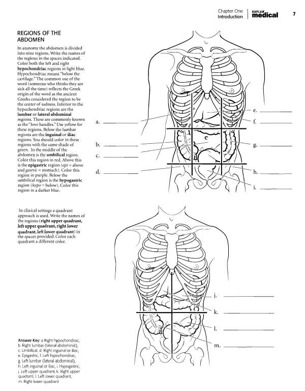 Kaplan Anatomy Coloring Book - photo 4