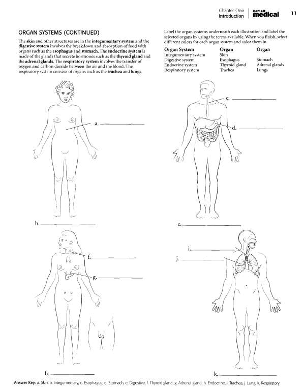 chapter One Introduction KAPLAN - medical BODY REGIONS POSTERIOR For - photo 6