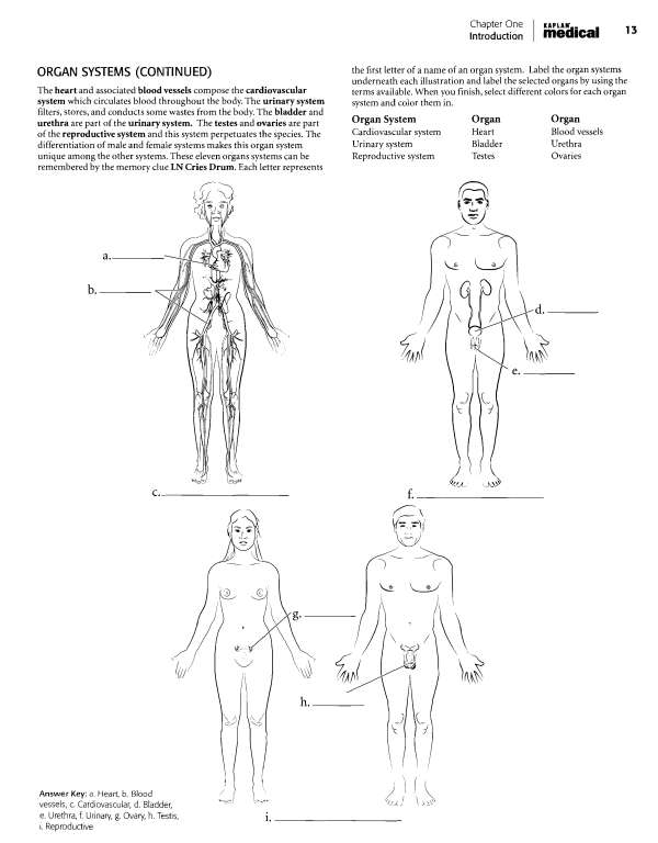 chapter One Introduction KAPLAN - medical BODY REGIONS POSTERIOR For - photo 7