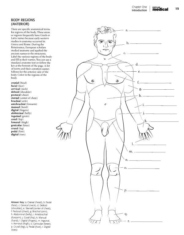 chapter One Introduction KAPLAN - medical BODY REGIONS POSTERIOR For - photo 8