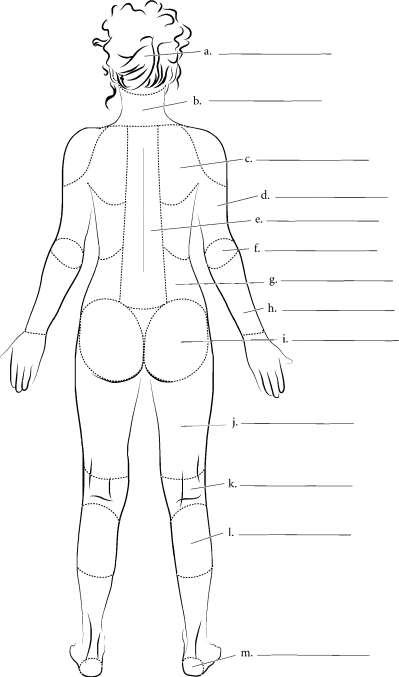 Chapter One Introduction medical BODY CAVITIES The organs of the body are - photo 9