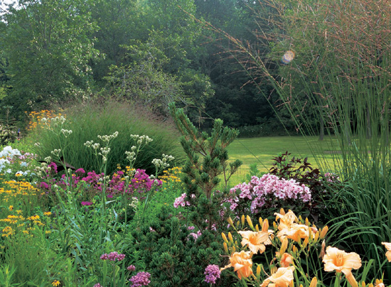 The Well-Tended Perennial Garden PLANTING PRUNING TECHNIQUES Tracy - photo 2