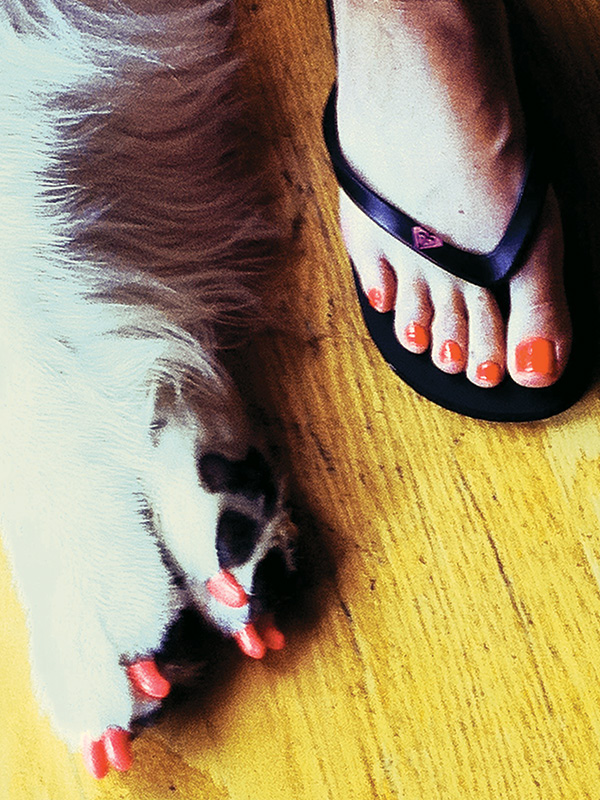 Why should you or your dog be the only one to get a pedicure Better idea - photo 17