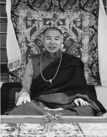 When taking this picture of Tulku Urgyen Rinpoche Erik requested a photograph - photo 3