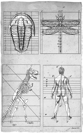 Endless Forms Most Beautiful The New Science of Evo Devo AND THE M AKING OF - photo 1