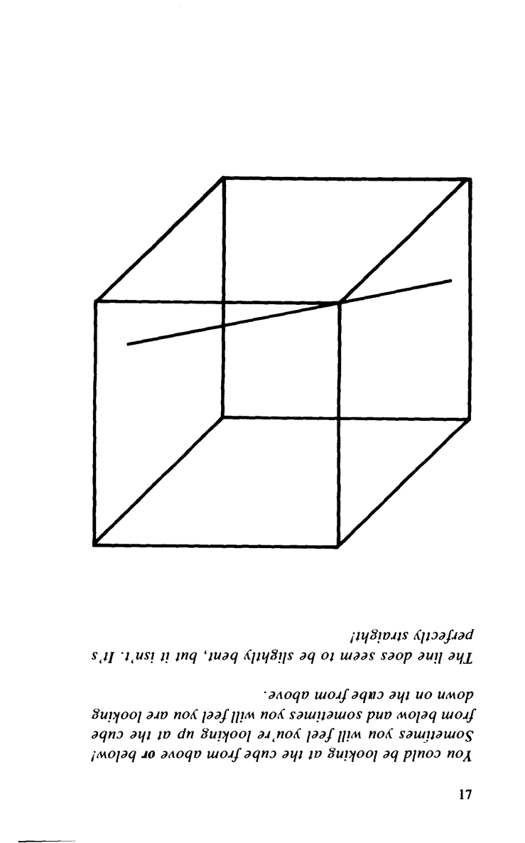 Great Book of Optical Illusions - photo 18