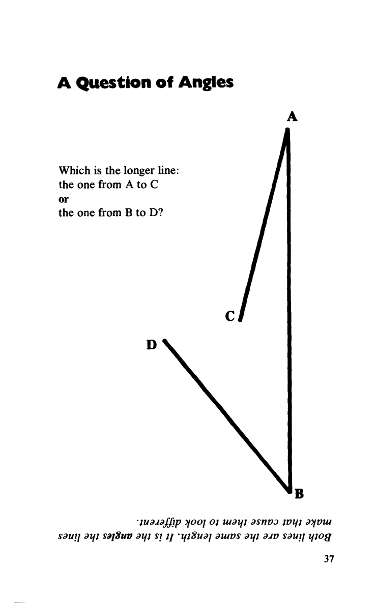 Great Book of Optical Illusions - photo 38