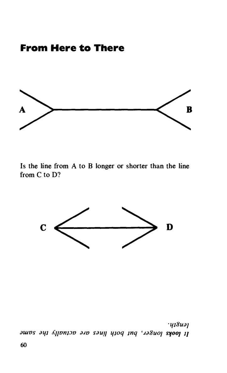 Great Book of Optical Illusions - photo 61