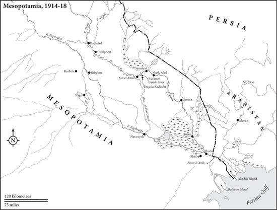 PREFACE THE GREAT WAR was the single most important event of the twentieth - photo 8