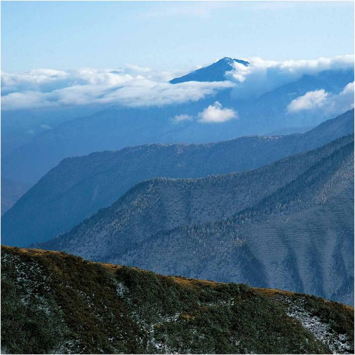 Pandas have flourished on the rugged slopes of Sichuans Jiajin Mountains for - photo 8