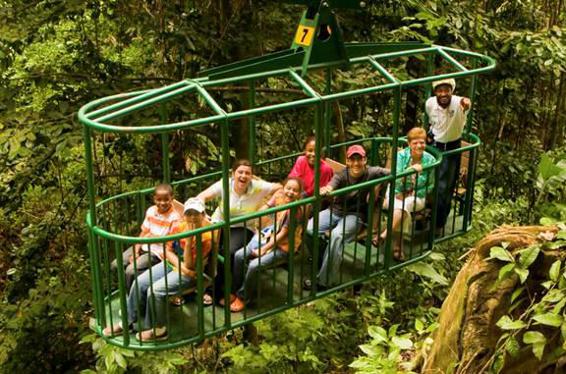 Info 758 458 5151 Toll free 1-866-759-8726 wwwrainforestadventurecom - photo 8