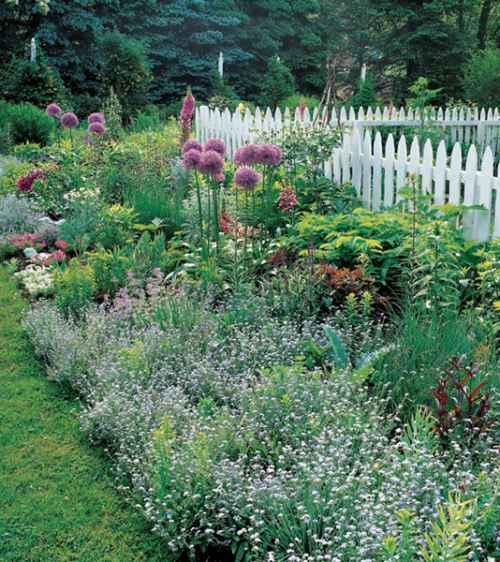 A fence can separate but adding a buffer planting full of flowers and textures - photo 3