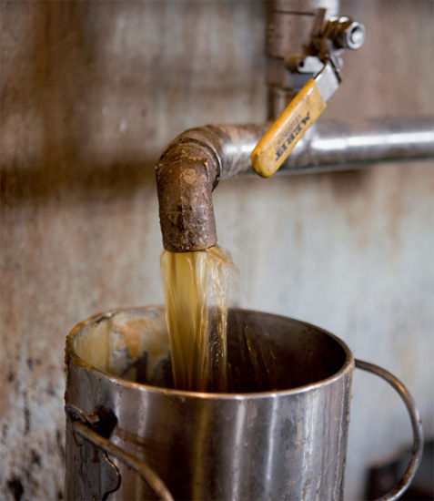 MAPLE SUGAR FROM SAP TO SYRUP THE HISTORY LORE AND HOW-TO BEHIND - photo 1