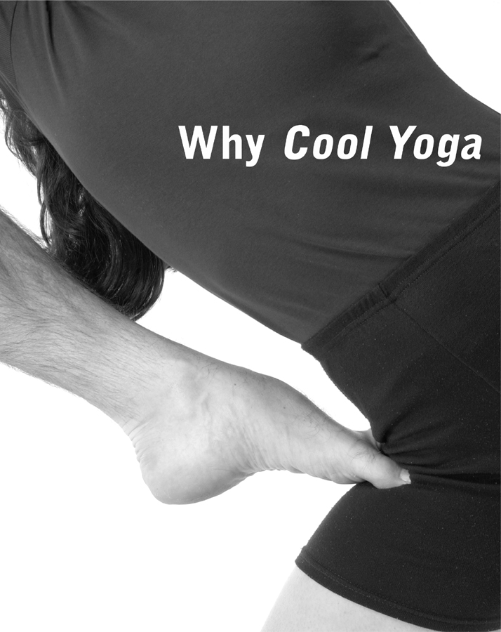 The reason millions of people are practicing yoga is that yoga gives us a sense - photo 7