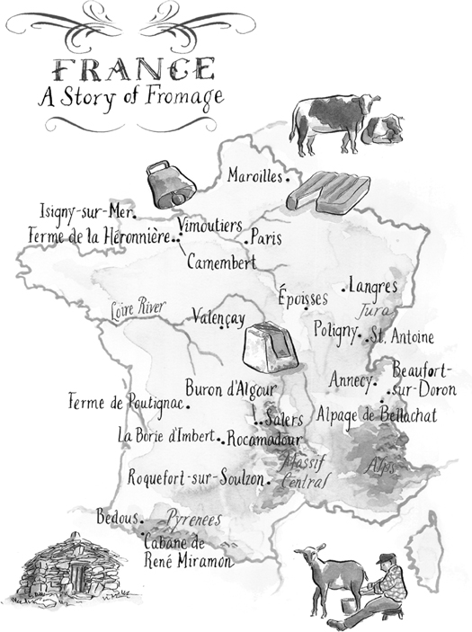 The Whole Fromage Adventures in the Delectable World of French Cheese - image 6