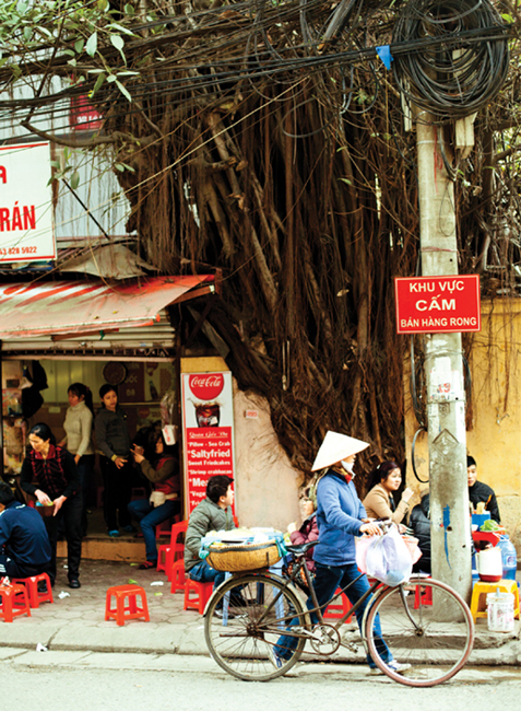 Vietnamese Home Cooking - photo 15