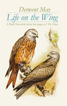 Derwent May - Life on the Wing: A Bird Chronicle from the pages of The Times