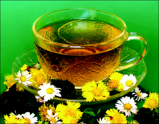 A refreshing cup of herbal tea A refreshing cup of herbal tea The - photo 2