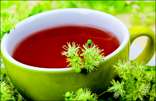 A refreshing cup of herbal tea The foragers winter larder I bought a - photo 3