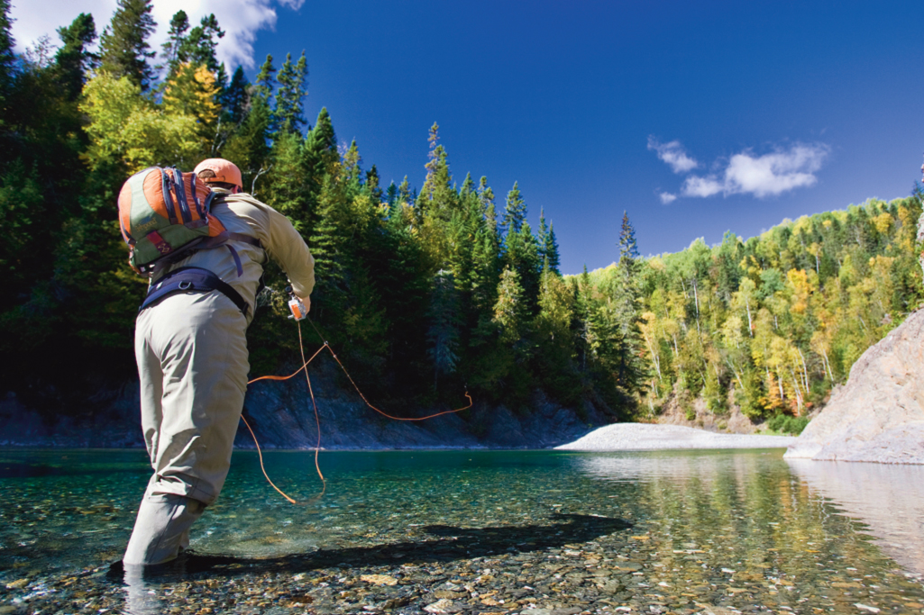 The Miramichi river system might well be the most famous Atlantic salmon - photo 4