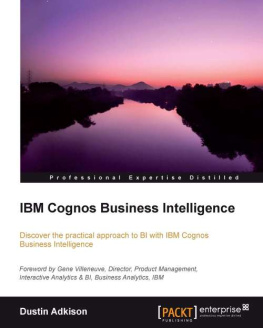 Adkison Dustin - IBM Cognos Business Intelligence