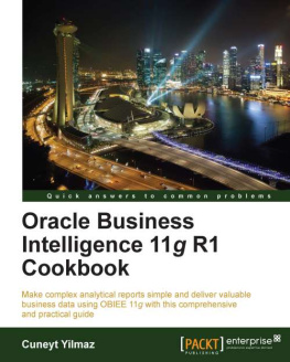 Cuneyt Yilmaz - Oracle Business Intelligence 11g R1 Cookbook