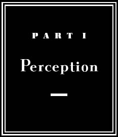 Whilst part of what we perceive comes through our senses from the object before - photo 3