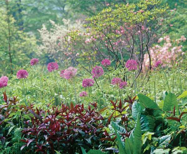 Designer Plant Combinations 105 Stunning Gardens Using Six Plants or Fewer - image 4