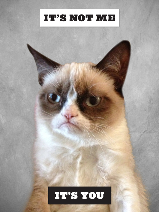 Grumpy Cat A Grumpy Book - photo 7