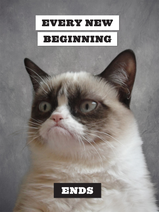 Grumpy Cat A Grumpy Book - photo 9